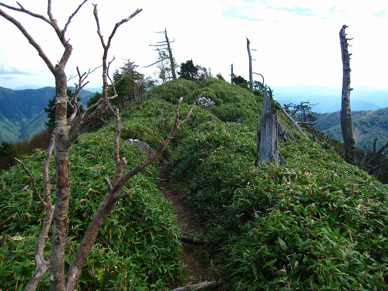 富士の池　（コリトリ）　から　一の森　～　槍戸山_b0124306_21402863.jpg