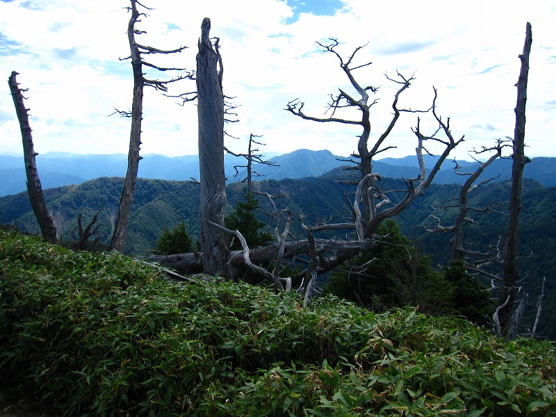 富士の池　（コリトリ）　から　一の森　～　槍戸山_b0124306_21412455.jpg