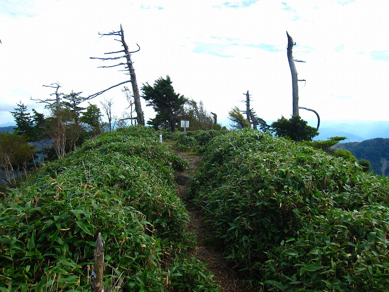 富士の池　（コリトリ）　から　一の森　～　槍戸山_b0124306_2142563.jpg