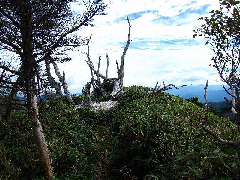 富士の池　（コリトリ）　から　一の森　～　槍戸山_b0124306_21461721.jpg