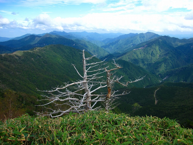 富士の池　（コリトリ）　から　一の森　～　槍戸山_b0124306_21505512.jpg