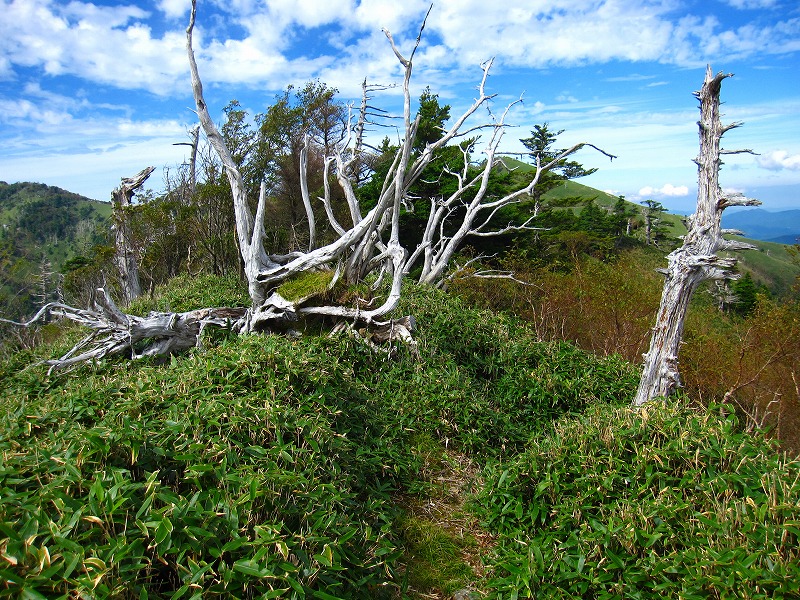 富士の池　（コリトリ）　から　一の森　～　槍戸山_b0124306_21514982.jpg