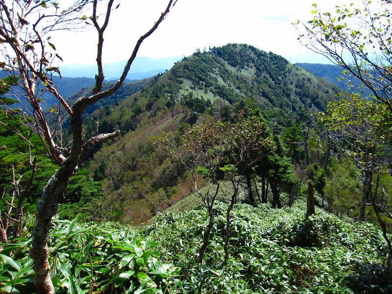 富士の池　（コリトリ）　から　一の森　～　槍戸山_b0124306_2155485.jpg