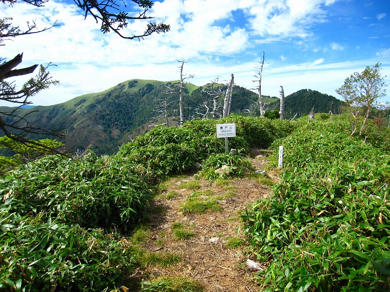 富士の池　（コリトリ）　から　一の森　～　槍戸山_b0124306_21555860.jpg