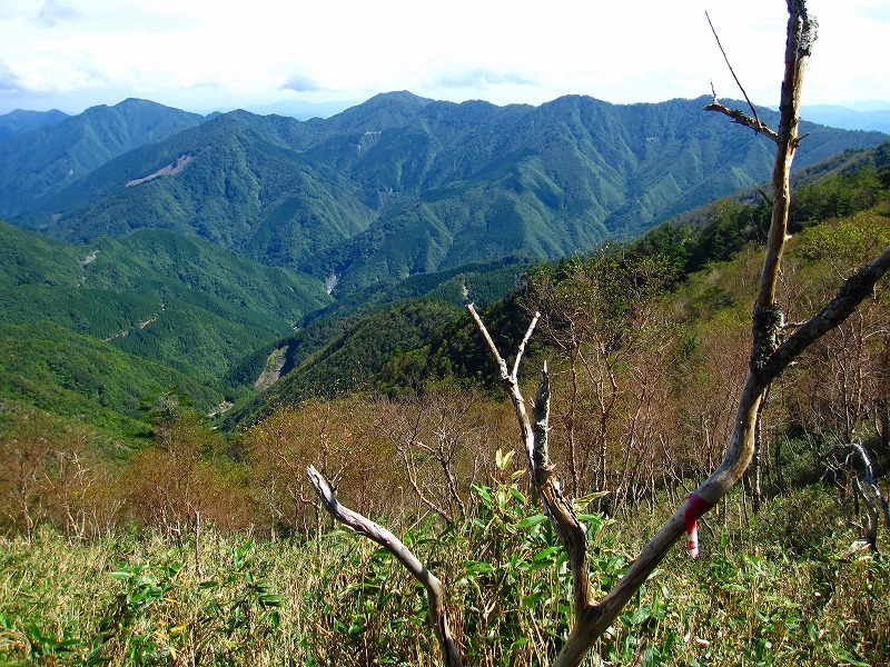 富士の池　（コリトリ）　から　一の森　～　槍戸山_b0124306_2173462.jpg