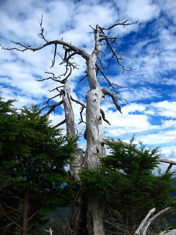 富士の池　（コリトリ）　から　一の森　～　槍戸山_b0124306_2203211.jpg