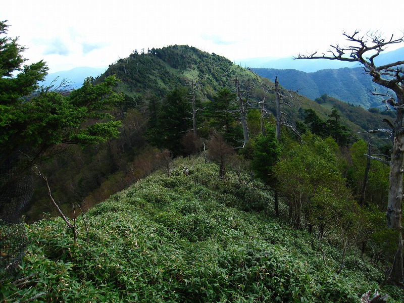 富士の池　（コリトリ）　から　一の森　～　槍戸山_b0124306_22152569.jpg