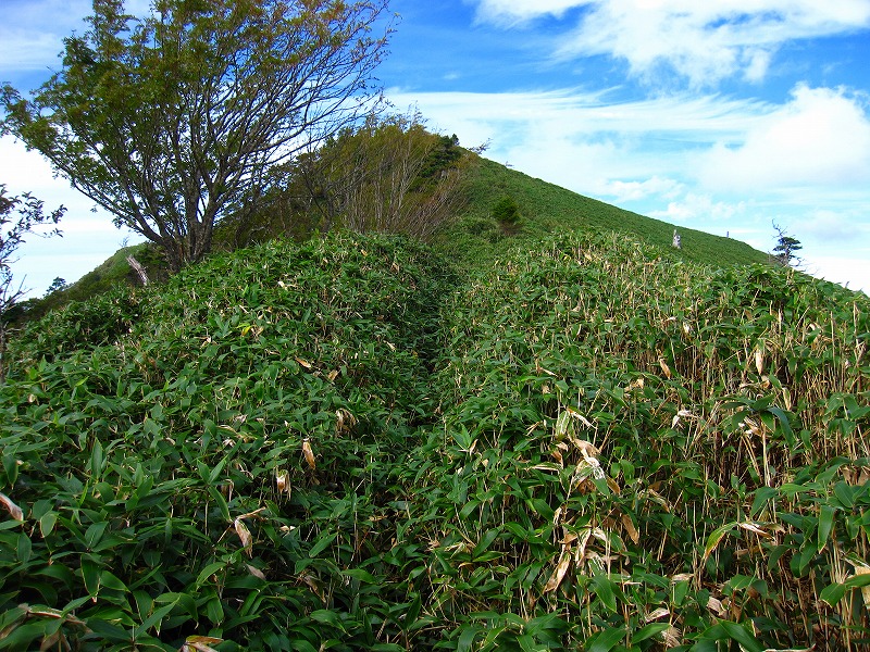 富士の池　（コリトリ）　から　一の森　～　槍戸山_b0124306_22164953.jpg