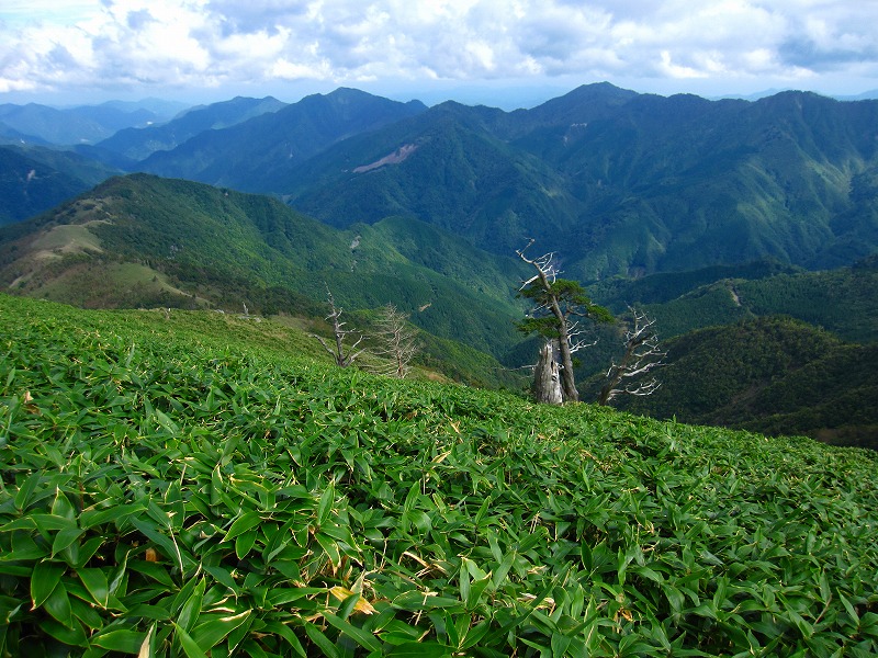 富士の池　（コリトリ）　から　一の森　～　槍戸山_b0124306_22175271.jpg