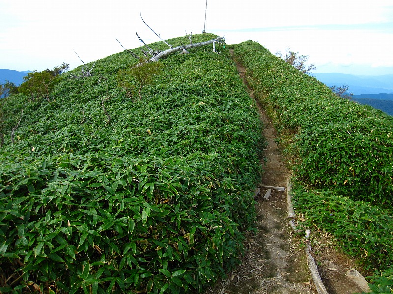 富士の池　（コリトリ）　から　一の森　～　槍戸山_b0124306_2222232.jpg