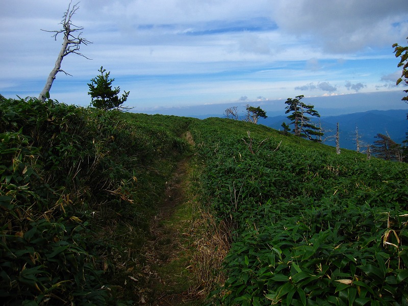 富士の池　（コリトリ）　から　一の森　～　槍戸山_b0124306_22271116.jpg