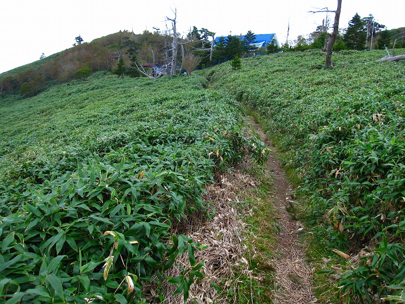 富士の池　（コリトリ）　から　一の森　～　槍戸山_b0124306_22293353.jpg