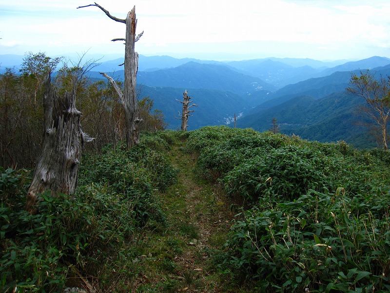 富士の池　（コリトリ）　から　一の森　～　槍戸山_b0124306_2231011.jpg