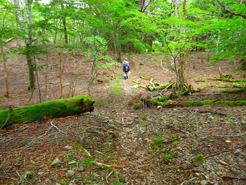 富士の池　（コリトリ）　から　一の森　～　槍戸山_b0124306_22395215.jpg