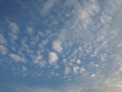 a0159009_19414526.jpg