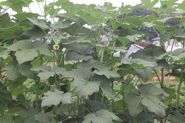 f0186509_22324783.jpg