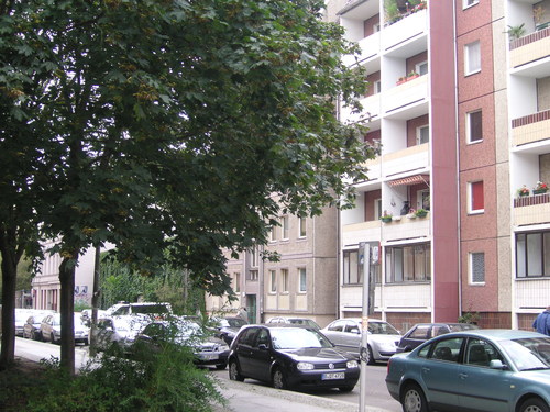 e0115312_19414310.jpg