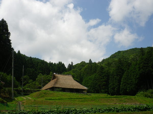 a0146613_0161136.jpg