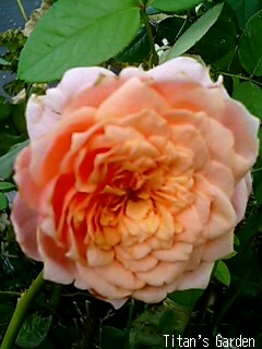 b0099813_0253432.jpg