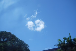 a0031714_17522520.jpg