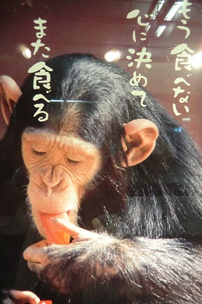 c0185914_17244761.jpg