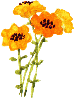 e0096315_243192.gif