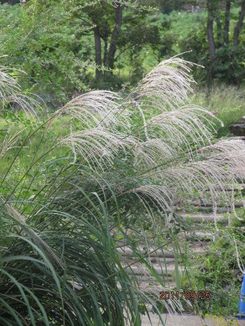 c0200916_0442584.jpg