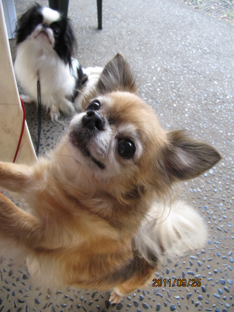 c0200916_094422.jpg