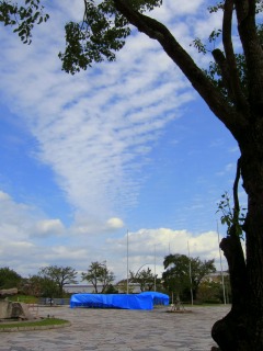 c0166720_1418995.jpg