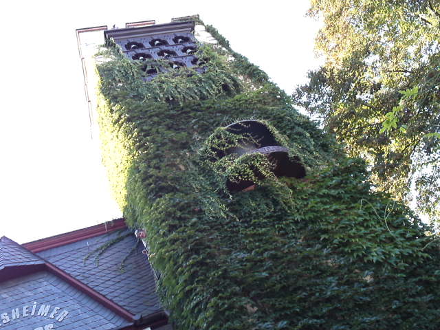 d0008724_1262276.jpg