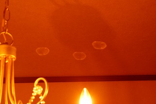 f0170524_11242289.jpg