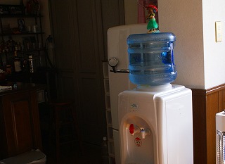 f0170524_1139525.jpg