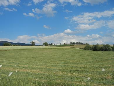b0129725_13205612.jpg