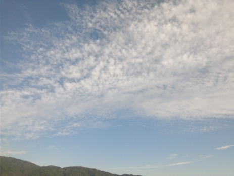 e0185530_19314469.jpg