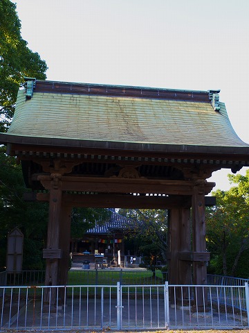 彼岸花撮影_c0077531_23273619.jpg