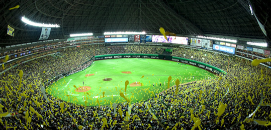 a0124432_1857168.jpg