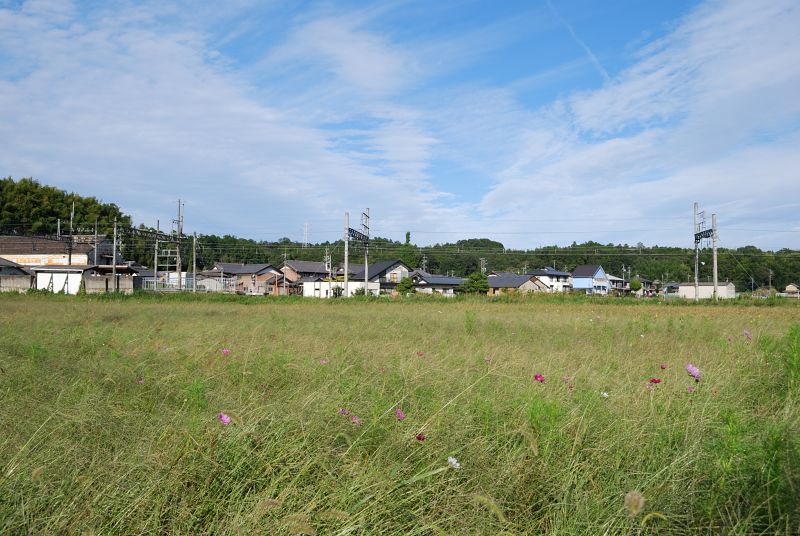 d0226336_20151661.jpg