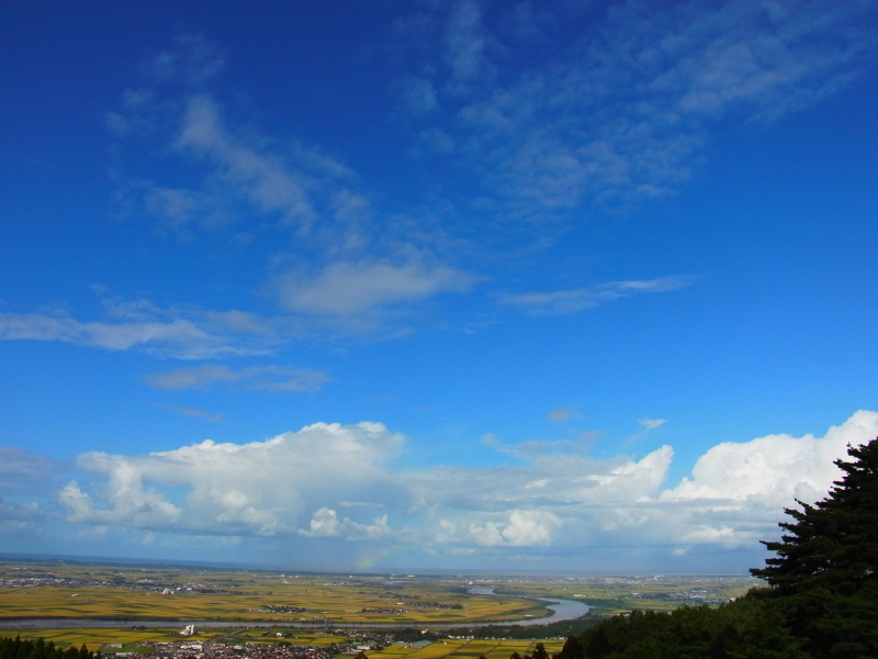 b0190242_1382278.jpg