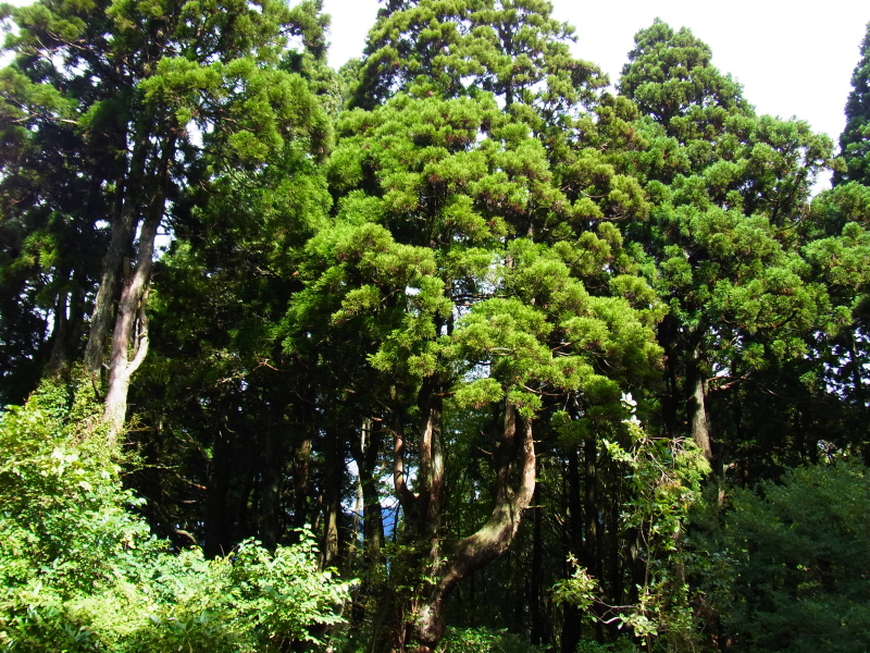 b0190242_1391736.jpg