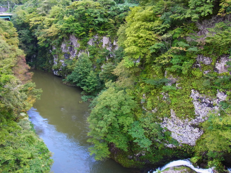 b0190242_1455486.jpg
