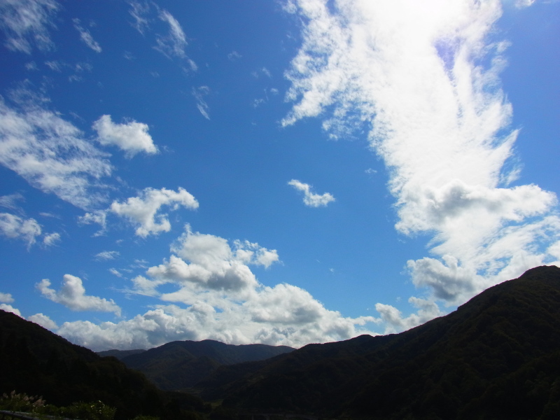 b0190242_1465521.jpg