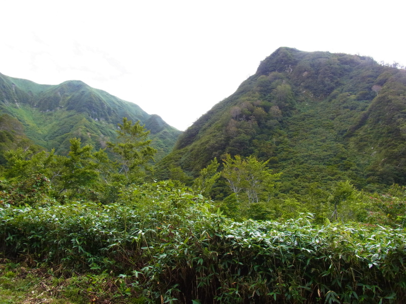 b0190242_154262.jpg