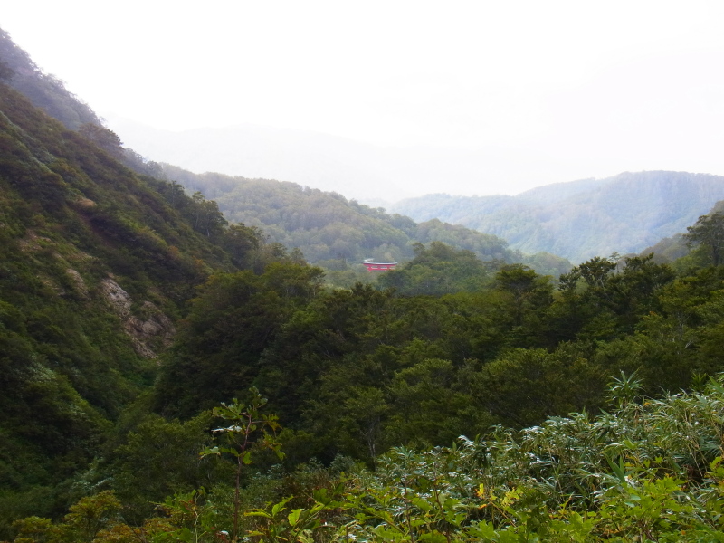 b0190242_155838.jpg