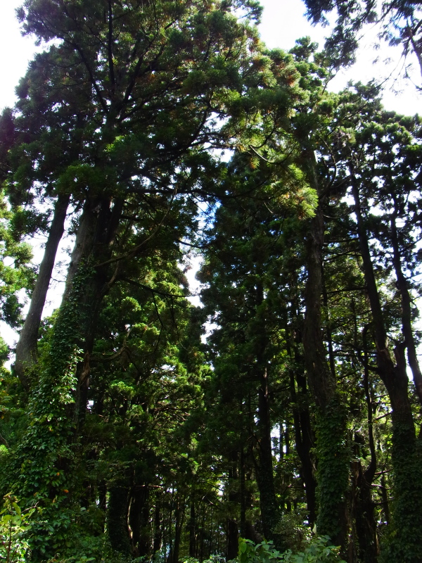b0190242_1573345.jpg