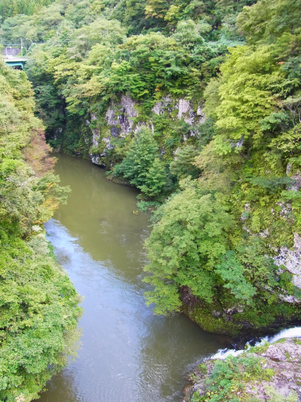 b0190242_157561.jpg