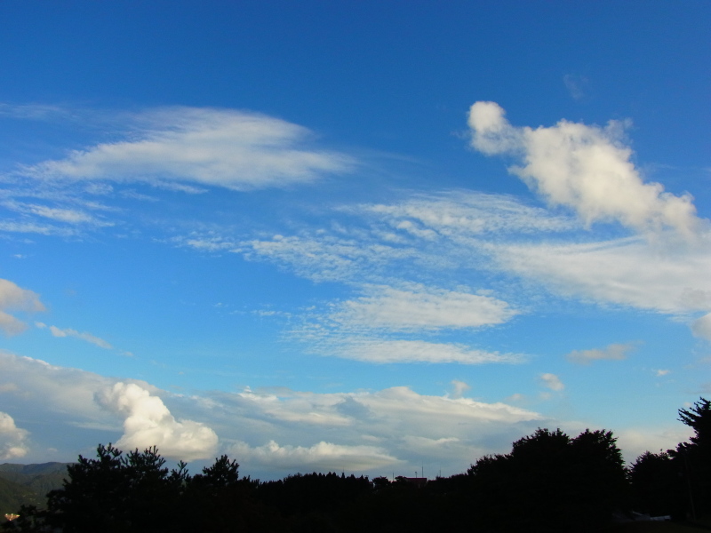 b0190242_1592379.jpg