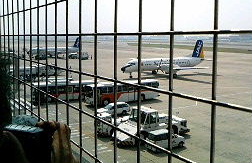 e0118346_148496.jpg