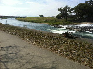 f0169347_1748750.gif