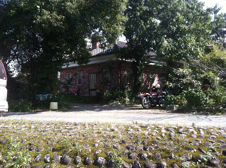 f0169347_17492566.gif