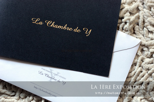 La chambre de Y 作品展のお知らせ_d0124248_2192288.jpg